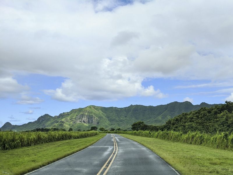 Carretera abierta entre campos verdes, con montañas al fondo.