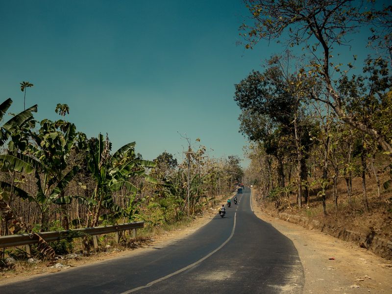 Carretera con curvas entre árboles, con dos motos a lo lejos.